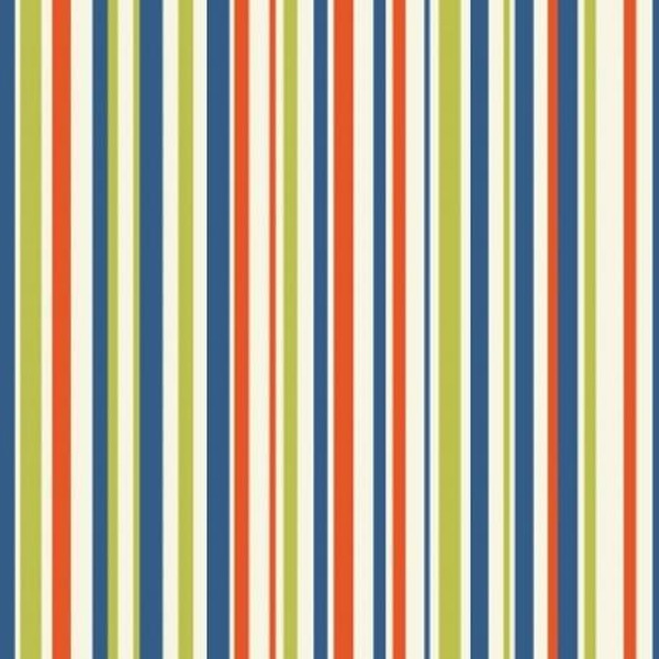 EARN YOUR STRIPES