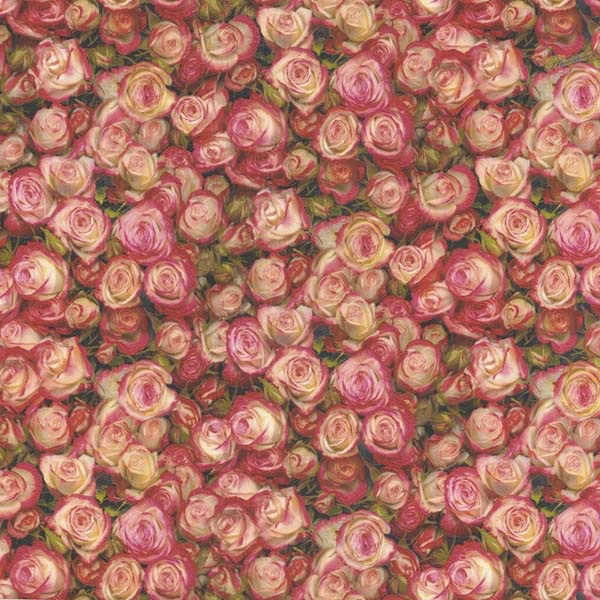 BLUMARINE 2