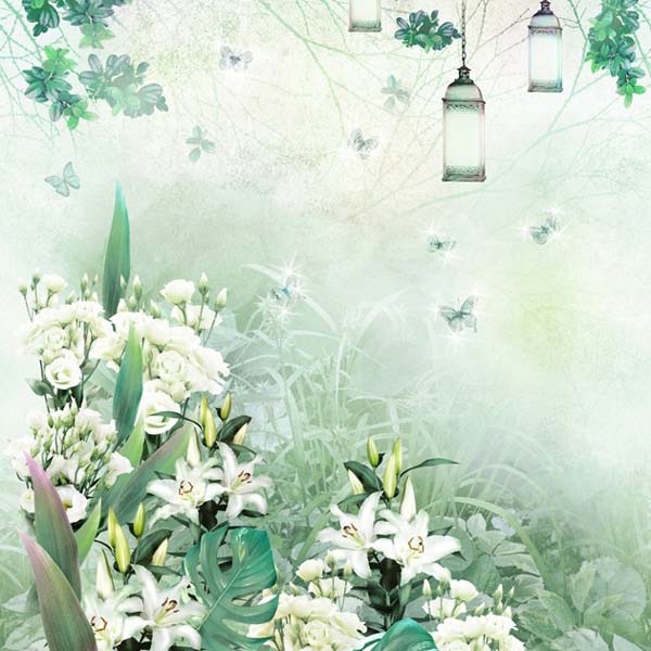 BLUMARINE 2