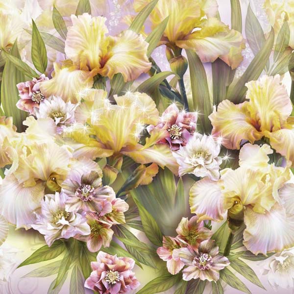 BLUMARINE 2
