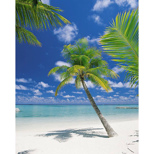 ARI ATOLL