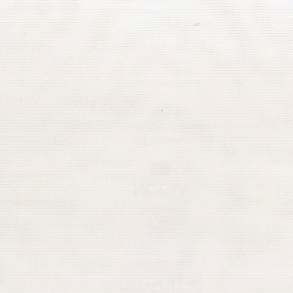 VISION