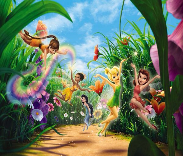 DISNEY FAIRIES