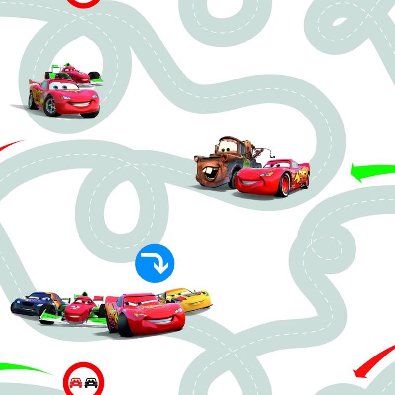 CARS RACETRACK