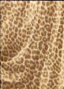 ROBERTO CAVALLI HOME N0-5