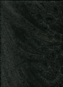 ROBERTO CAVALLI HOME N0-5