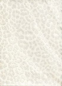 ROBERTO CAVALLI HOME N0-5