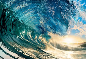 THE PERFECT WAVE