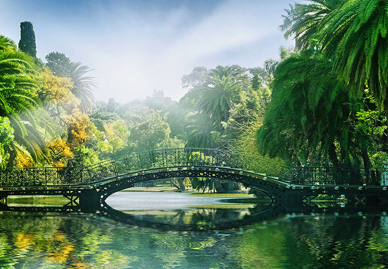 BRIDGE IN THE SUNLIGHT