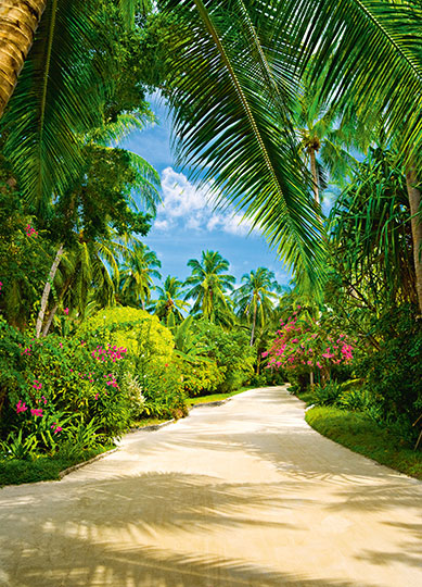 TROPICAL PATHWAY