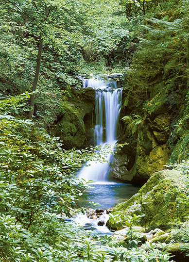 WATERFALL IN SPRING