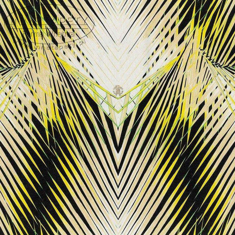 ROBERTO CAVALLI 6
