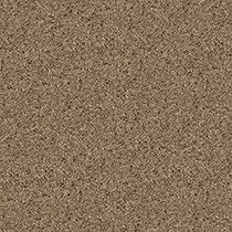 SURFACE