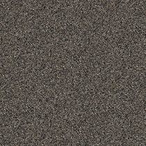 SURFACE