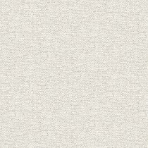 SURFACE