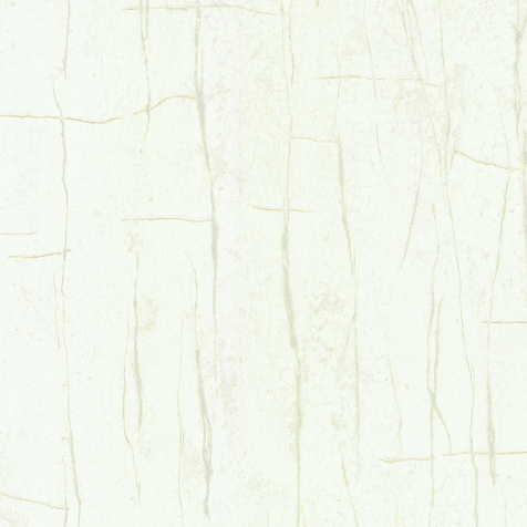 VALENTIN YUDASHKIN 5