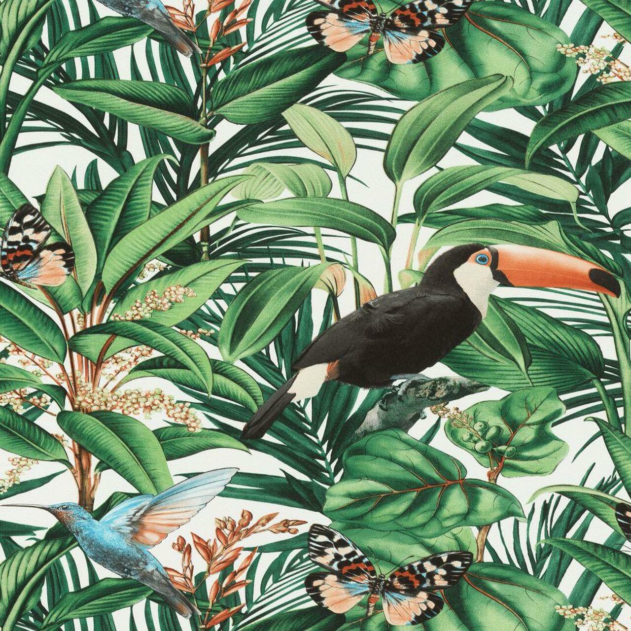AMAZONIA