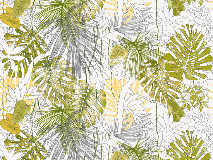 BOTANIC & JUNGLE