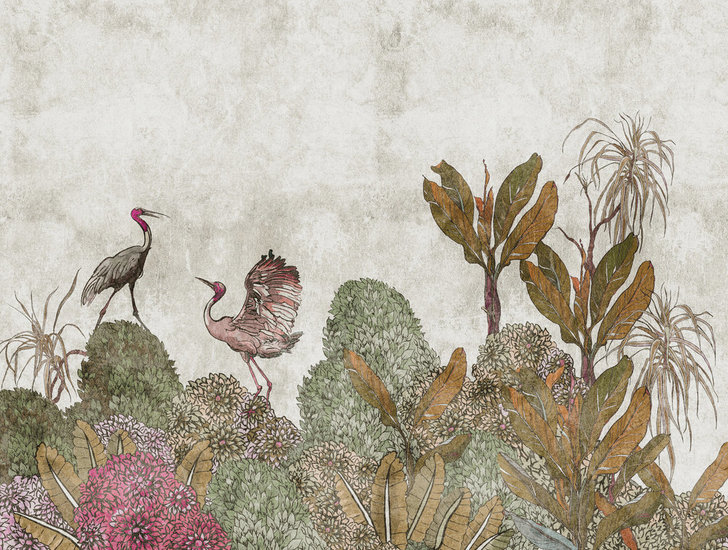 BOTANIC & JUNGLE