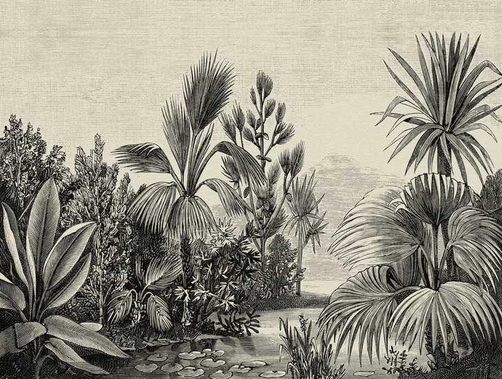 BOTANIC & JUNGLE