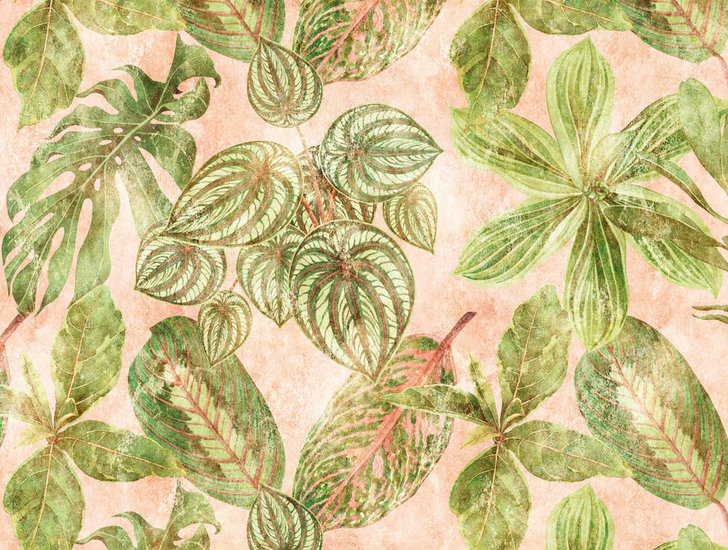 BOTANIC & JUNGLE