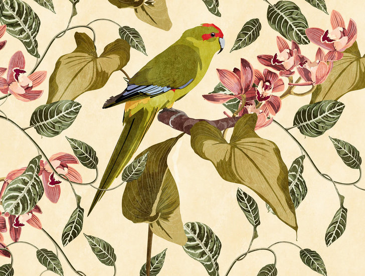 BOTANIC & JUNGLE