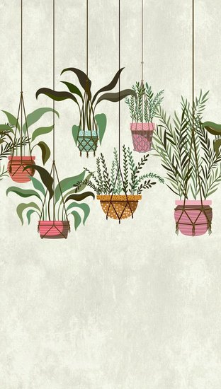 BOTANIC & JUNGLE