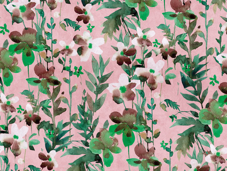 BOTANIC & JUNGLE