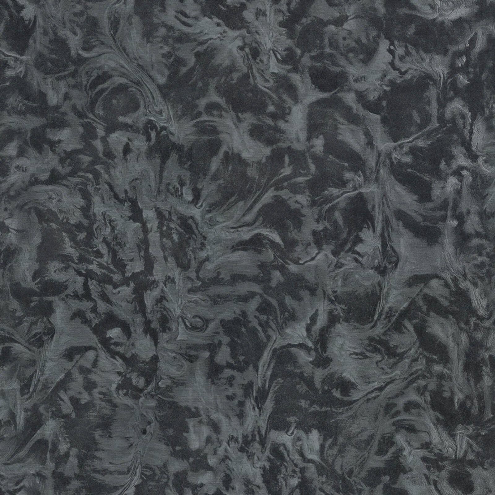 MURELLA SPLENDOR