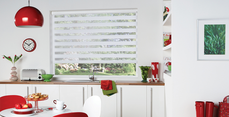 VISION ROLLER BLINDS