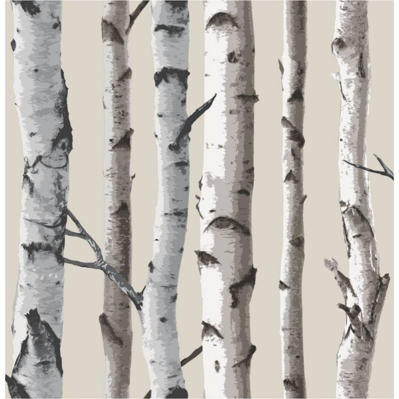 BIRCH TREE