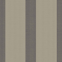 WIDE STRIPE(BLACK & GOLD)