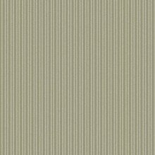COTTON STRIPE OLIVE