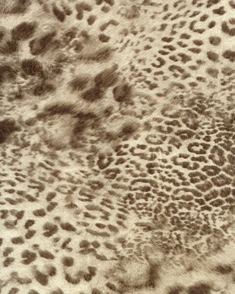SKIN WALLPAPER